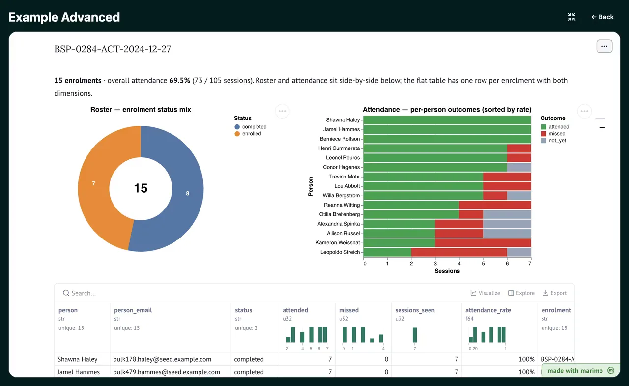 An analytics notebook running inside the application, showing a roster donut chart, a per-person attendance bar chart, and a searchable data table with column summaries